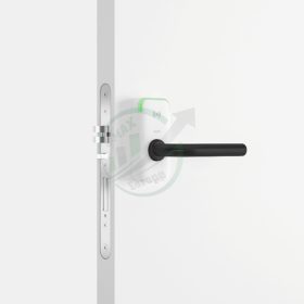 SALTO XS4 Mini - Euro-DIN White Black